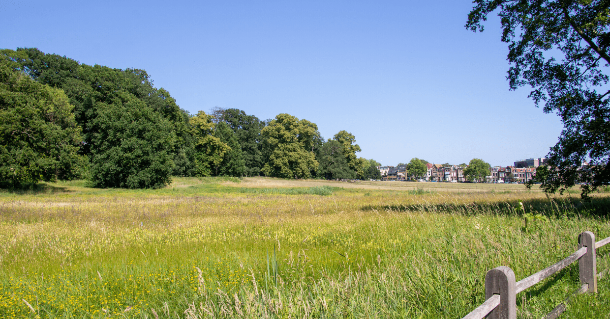 puur-genieten-in-arnhem